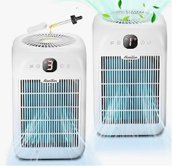 Best 6 Air Purifiers in (2025)